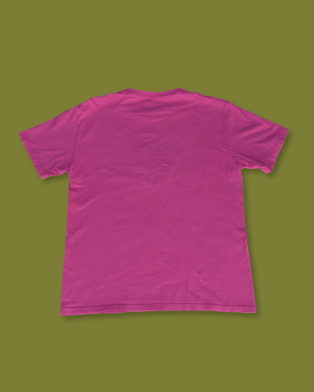 Embroidered Hawaii Turtle T-Shirt