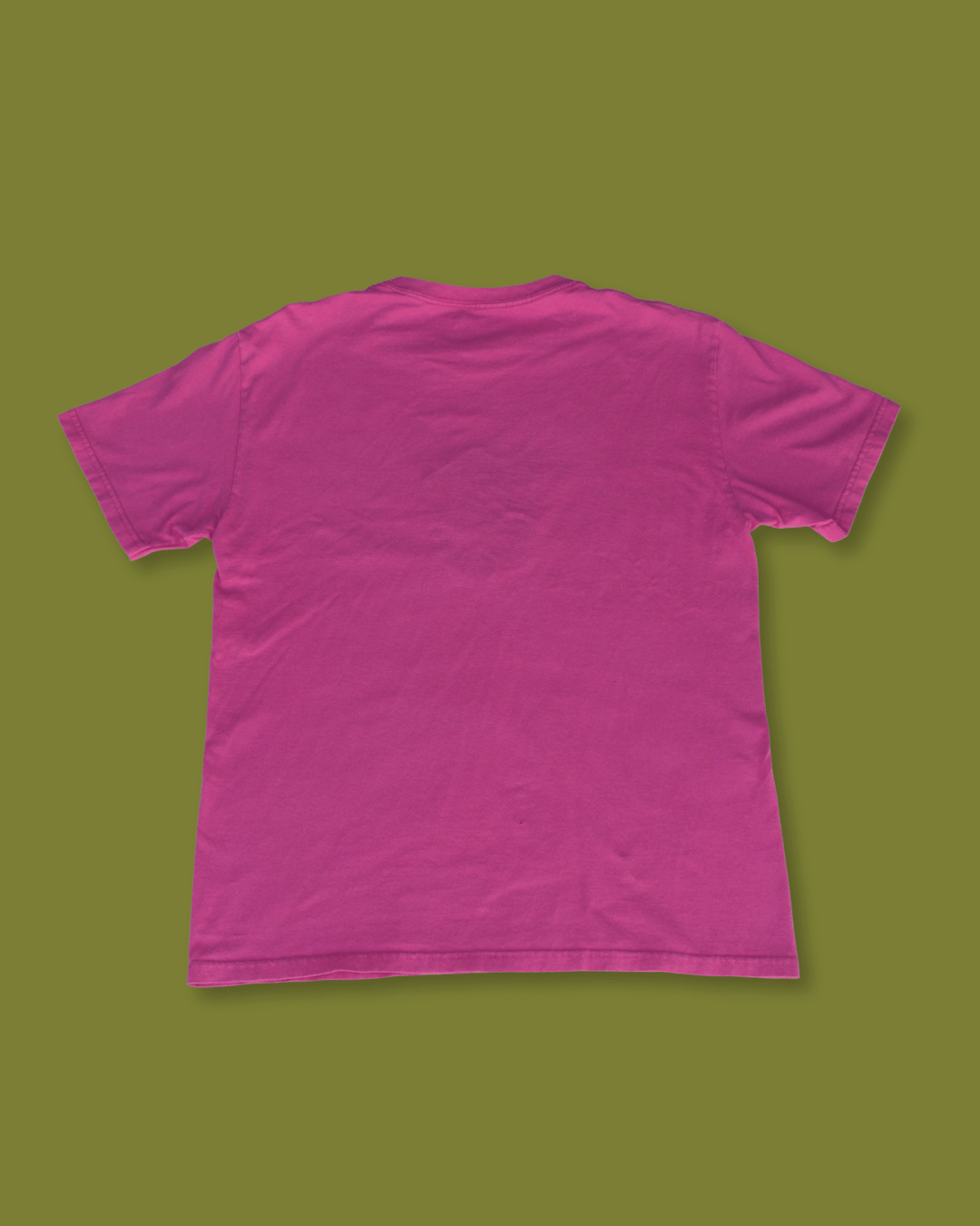 Embroidered Hawaii Turtle T-Shirt